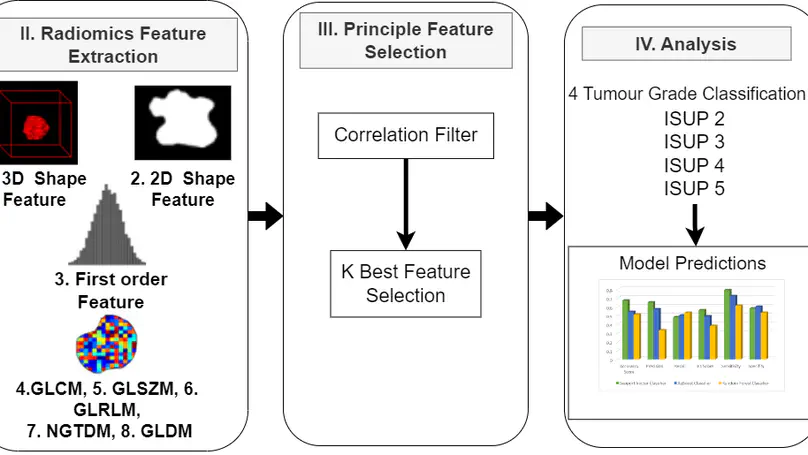 Automated Radiomics Based Clinically Significant Prostate Cancer Grade Classification from Biparametric MRI