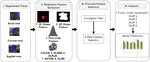 Automated Radiomics Based Clinically Significant Prostate Cancer Grade Classification from Biparametric MRI