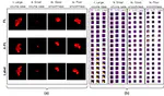 Enhancing Semantic Segmentation with Adaptive Focal Loss